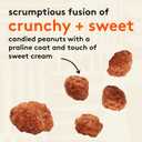 Snak Club Toffee Peanuts, Candied Peanuts with Praline Coat and Sweet Cream, Gluten-Free and Kosher Snack, 2 oz Bags, 12 Pack