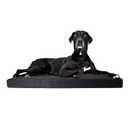 36in x 28 Dog Bed Insert