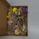 LawnIdyll 12/24 PCS Charming Dried Flowers Bouquet for Vase Various Dried Wildflowers with Stems Mini Handmade Wildflowers Natural Real Flowers Bulk Flowers Craft (Various Series, 12 PCS)