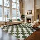 Washable Rug 8x10 Checkered Rug, Green and White Area Rug, Boho Large Rugs for Living Room, Low Pile Lightweight Indoor Carpet with Non-Slip Backing for Bedroom Classroom Playroom Kids