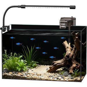 Glass Fish Tank Kit, 5 Gallon Betta Fish Tank Aquarium Starter Kit with Filter, Lights, Lid, for Betta, Goldfish, Small Fish or shrimg