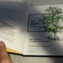 Our Family Tree