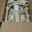breesky Halloween Skeleton Model for Decoration: 5.4Ft Skeleton with 3Ft Skeleton with Movable Joints -Plastic Human Bones for Halloween Party, Yard Lawn Decoration