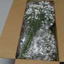 Elyum Babys Breath Artificial Flowers, 25 Pcs Long Stem Baby Breath Flowers Artificial Bulk, Real Touch White Fake Babys Breath Gypsophila for Wedding Bouquet Floral Arrangement Home Decor