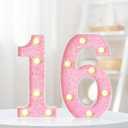 8.7In 16th Birthday Decorations Gifts for Her, Light Up Numbers Decorative Sign for 16th Birthday Wedding Work Anniversary Backdrop Table Wall DecorShining Pink