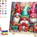 Reivworl Christmas Framed Paint by Numbers Kit for Adults with Wooden Easel, Gnome Paint by Numbers, Painting by Number for Home Decor 16X20 Inch with Gifts Box