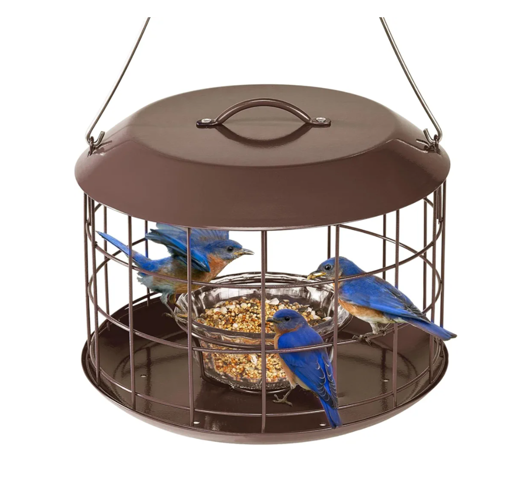 Kingsyard Bluebird Feeders for Outdoors Hanging, All Metal, Cage Bird Feeder with Tray, Squirrel Proof & Weatherproof, Easy to Refill & Clean (Brown)