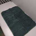 Smiry Dog Door Mat for Muddy Paws 30x20, Absorbs Moisture and Dirt Doormat, Non-Slip Washable Quick Dry Chenille Front Door Mat Indoor Entrance, Entryway Carpet for Inside Floor, Green