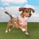 Pinkaholic New York Amara Dog Harness (Over-The-Head) Flower Pattern Fashionable Cute Spring Summer Harness for Small Dogs, Light Pink, Large