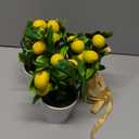 Jexine 3 Set Summer Fruits Lemon Tiered Tray Decor Artificial Lemon Plant Farmhouse Home Decor Mini Fake Etrogplants Mini Vases Tiered Tray Greenery Accessory (Lemon Style)