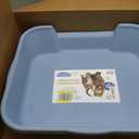 KittyGoHere Senior Cat Litter Box 1 Pack, Large Blue Low Entrance Kitty Litter Box, Sized for Cats Comfort, Perfect for Senior and Arthritic Cats, Made in USA