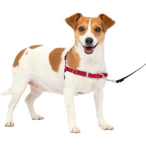 PetSafe Easy Walk No-Pull Dog Harness - The Ultimate Harness to Help Stop Pulling - Take Control & Teach Better Leash Manners - Helps Prevent Pets Pulling on Walks, Small, Red/Black