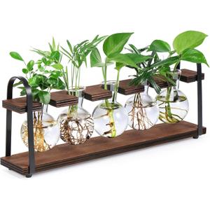 THYGIFTREE Plant Propagation Stations with Wooden Stand, Desktop Retro Plant Terrarium Bulb Vase for Indoor Hydroponic Flowers, Tabletop Glass Planter Housewarming Gifts for Plant Lovers