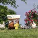 Manna Pro Ultimate Chicken Scratch Feed, Nutrient-Rich Scratch Grain Treat for Chickens and Poultry, Natural Multigrain Blend for Backyard Flocks and Laying Hens, Made in USA, 10 lb Bag