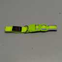 LED Dog Collar, Light Up Dog Collar USB Rechargeable, Brightest Dog Lights for Night Walking, Adjustable Dog Collar Light for Dog Safety(Medium, Neon Green)