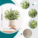 Der Rose 3 Pack Mini Potted Fake Plants Artificial Plastic Eucalyptus Plants Topiaries for Home Office Desk Farmhouse Shelf Room Bathroom Decor(Sage Green)