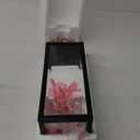 17 Inch Outdoor Pendant Light Dusk to Dawn, Front Door Hanging Light for Entrance, Dusk to Dawn Hanging Porch Light Outdoor Pendant, Metal and Glass Dusk to Dawn Outdoor Hanging Lantern for Porch, E26