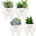 FoldTier Dental Hygienist Gifts Cute Tooth Shaped Planters Ceramic Succulent Cactus Flower Pot Funny Mini Office Pen Holder for Dental Assistant Graduation Accessories Dentist Office Decor(4 Pcs)