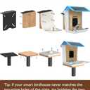 Garbuildman Upgraded Smart Bird Feeder Pole for 3 Birdhouses with Reinforced 5-Prong Base, Adjustable Birdhouse Pole for Outdoors, 3-in-1 Bird Feeder Stand Mounting Kit for Wild Birds Watching, Black