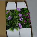 Der Rose 4 Pack Small Fake Plants Mini Artificial Faux Plants Indoor with Flowers Spring Decorations for Home Room Farmhouse Desk House Bathroom Decor