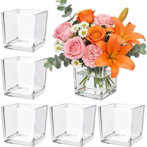 6 Pack Square Glass Vase 4" x 4" x 4", Clear Cube Vases for Centerpieces, Thickened Glass Flower Vases, Plant Terrarium, Floating Candle Holder for Wedding Party, Office/Home Decor, Events