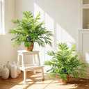 2 Pack Artificial Fern Plants in Pots Artificial Boston Ferns Potted Plants Faux Fern Bush Plant Shrubs Greenery for Outdoor Indoor Porch Patio Farmhouse Garden Living Room Office Table Decor (Type 3)