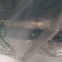 2 Gallon Watering Can, Garden Watering Can Outdoor, Plant Water Can with Removable Long Spout and Stainless Steel Sprinkler Head, Large Plastic Outdoor Watering Cans for Gardening Flower Plants (Alpine Green)