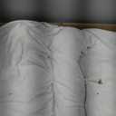 MIULEE Pillow Inserts 22x22 Inch Set of 2, Feather Mix Polycotton with Cotton Fabric Square Decorative Throw Pillows for Couch Bed Sofa