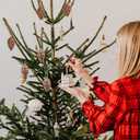 BESPORTBLE 8pcs Christmas Tree Hanging Ornaments, Shatterproof Plastic Pine Cones, Coffee Color, 3. 74 X 1. 96 Inches, for Holiday Decorations, Home, Office, and Party Decor