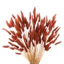 Burnt Orange Bunny Tails Dried Flowers,17" Dried Faux Pampas Grass Bulk Decor Fall Pampas Dried Boho Flowers Lagurus Ovatus Rabbit Bunny Tail Grass for Home Wedding Decor Crafts