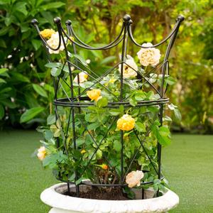 Peony Supports for Outdoor Plants,18.5 x 22.9in Dahlia Stakes | Durable Garden Support Cage for Peonies, Tall Plant Support Stakes, Elegant Design - Ideal for Indoor & Outdoor Use