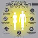 OmniBiotics Zinc Picolinate 30mg Supplement – High Absorption Zinc for Immune System, Healthy Skin, and Energy Support – 180 Vegan Capsules