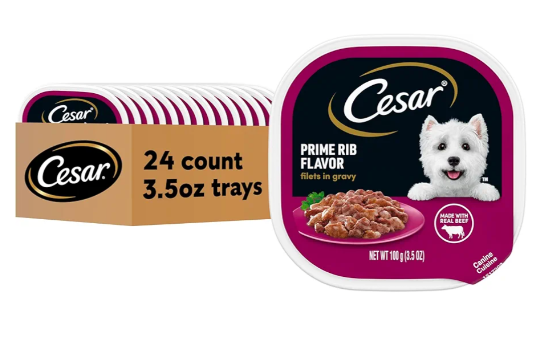 Cesar Filets in Gravy, Adult Wet Dog Food, Prime Rib Flavor, Wet Food for Dogs, 3.5 oz Trays, 24 Count, BBD 12/29/2027