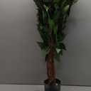 3ft Ficus Artificial Trees with Natural Curved Trunks, 36" Tall Lush Faux Tree for Home Decor Indoor, Green Lifelike Fake Ficus Tree Artificial Plants