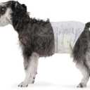 Basics Male Dog Diapers, 30 Count, Medium, Ultra Absorbent Disposable Wrap with Secure Fit, Leakproof and Comfortable