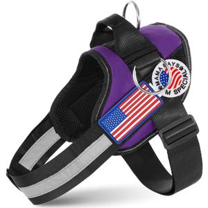 Essential Dog Harness with 3 Leash Clips - No-Pull, Adjustable, Comfortable Pet Vest Harness for Small to Large Dogs - Easy On, No Choke, Reflective, Padded Harness for Walking and Training (XL(Neck:22-29",Chest:27-35"), Purple)