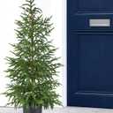 3FT Hyper-Realistic Norfolk Pine Tree | Lifelike Faux Christmas Tree, UV Rated Fake Potted Plants for Indoor Outdoor Home Front Porch Christmas Décor & Office Décor