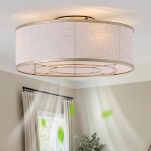 Gold Flush Mount Ceiling Fans with Lights, 20" Caged Boho Ceiling Fan with Light and Remote, Bladeless with 6 Speeds for Bedroom, Nursery, Living Room, Small