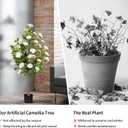 4FT Artificial Camellia Tree 2 Pack, Faux Floral Plant in Cement Pot Fake Silk Camellia Plants for Home House Living Room Office Decor