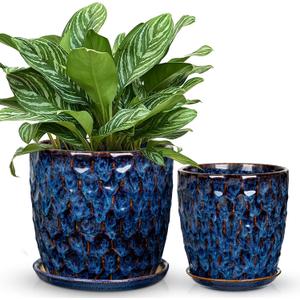 Hollyone Blue Ceramic Pot for Plants Flowers Ceramic Planter with Drainage Hole and Saucers 8 + 6.5 Inch Set of 2 Glaze Round Flower Plant Pot for Indoor Outdoor Large Succulent Orchid Flower Pot