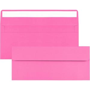 100 Pack Rose #10 Business Envelopes, Standard Envelopes Self Seal, 4 1/8 x 9 1/2 Inch Letter Size Business Mailing Envelopes for Checks Invoices Statements Baby Shower Wedding Birthday