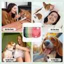 wegreeco Female Dog Diapers, Washable Reusable Pet Puppy Doggie Diapers for Medium Female Dogs in Heat Period, Doggy Period Panties Medium