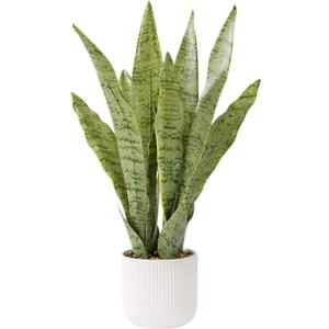Artificial Realistic Snake Plant 21.5" with White Pot Fake Snake Plants Sansevieria Greenery Faux Snake Plant for Home Office Living Room Housewarming Gifts Indoor Decor-Light Green