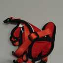 PUPTECK Cat Harness and Leash Set Escape Proof Reflective Cat Walking Harness Adjustable Soft Breathable Mesh Vest for Small Pets, Red, M