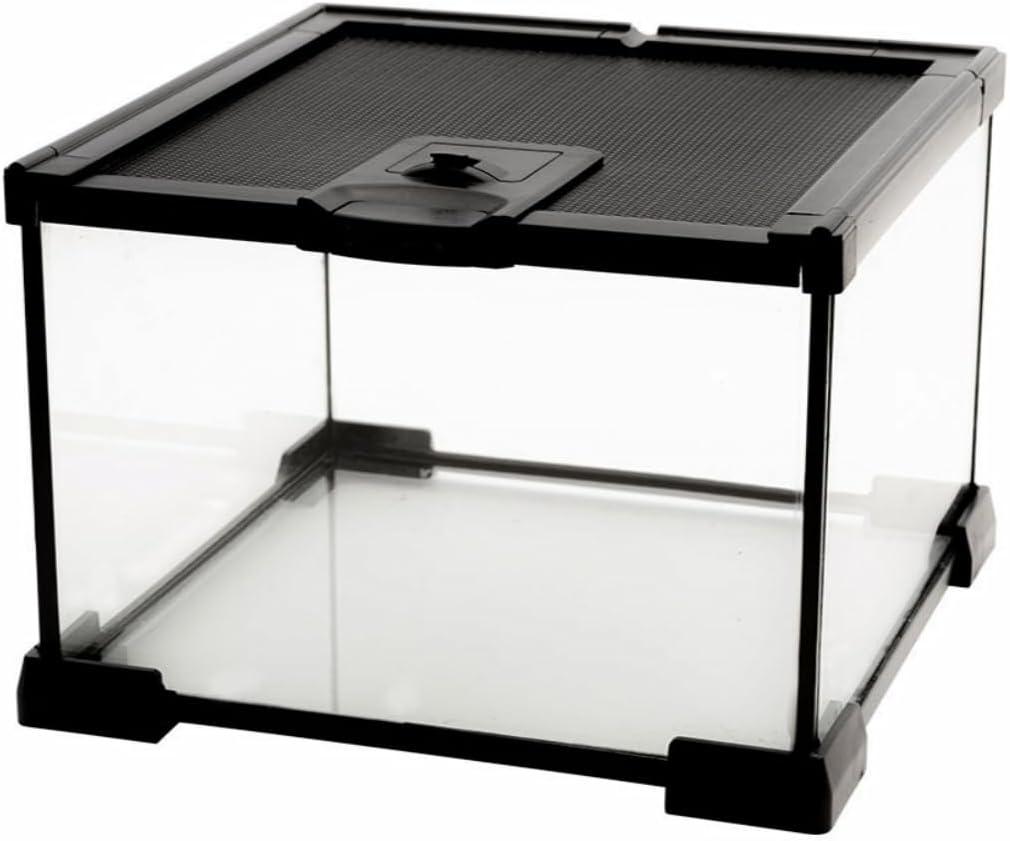 Mini Reptile Glass Terrarium Tank, cage for Tarantula Sling Geckos, Frog, Lizards, Chameleons,Turtles Snake Snail Insect Hermit Crab Isopods Reptiles Enclosure (7.9x7.9x5.7inch)