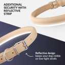 CollarDirect Reflective Rolled Leather Dog Collar, Soft Padded Round Puppy Collar, Handmade Genuine Leather Collar Dog Small Large Cat Collars 13 Colors (11-14 Inch, Beige Smooth)