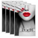 Plex Supply 24x36in 2 Frames