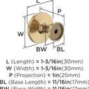 Amerock 10BX37025CZ | Champagne Bronze Cabinet Knob | 1-3/16 inch (30mm) Diameter | 10 Pack | Loop | Furniture Hardware