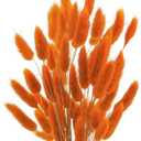 Uieke 17 Natural Bunny Tails Dried Flowers, 50 Pcs Dried Lagurus Ovatus, Dried Pampas Grass for Flower Arrangements Wedding Centerpieces Home Boho Baby Shower Party Fall Decorations (Orange)