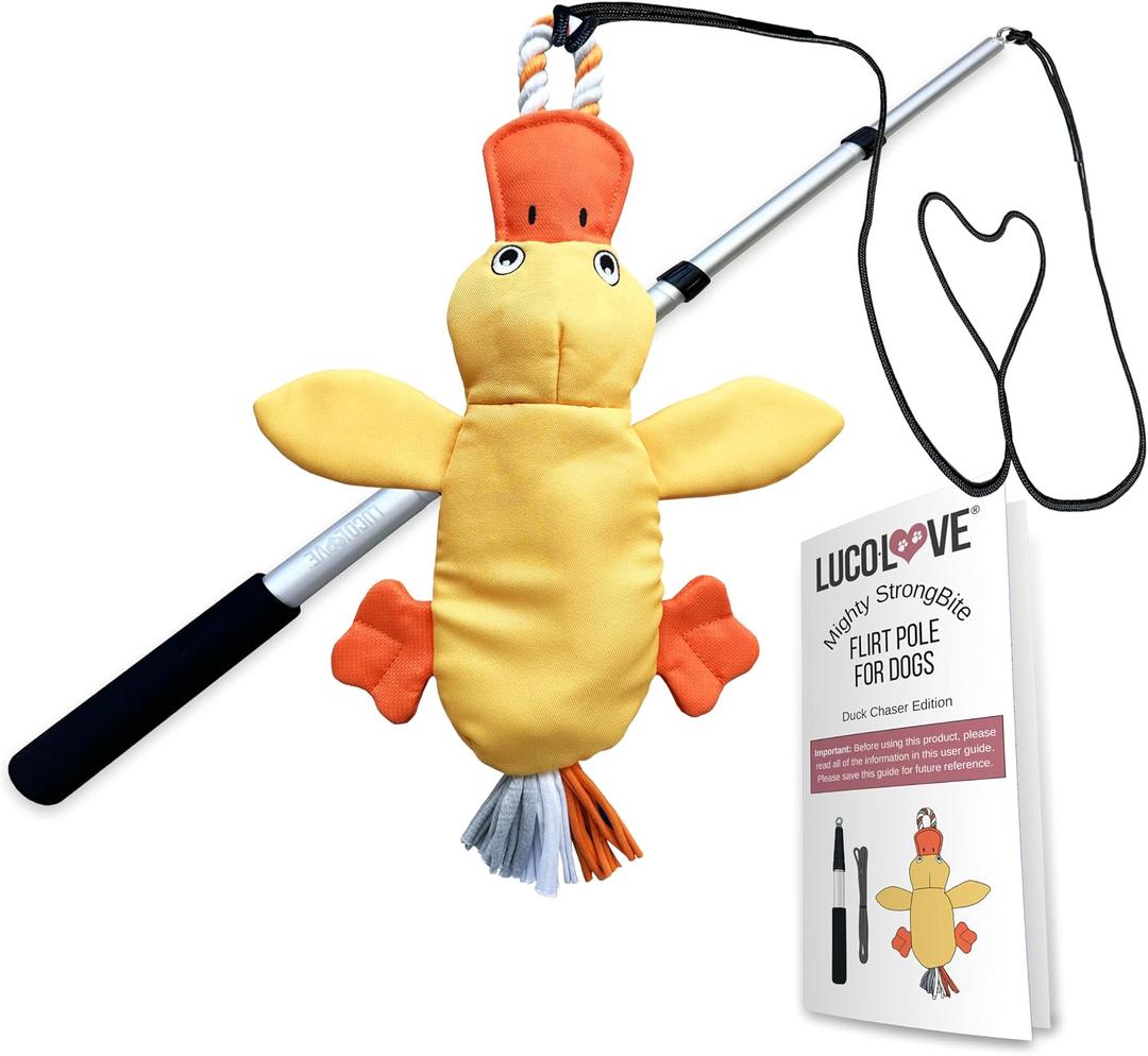 Flirt Pole for Dogs Heavy Duty - Multi-Sensory Tough Chase Toy for Medium & Large Breeds – Extra Strong 35" Dog Teaser Wand for Backyard Play, Training and Interactive Fun (Duck)